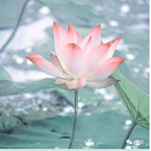 定了！今年居民醫(yī)保繳費(fèi)標(biāo)準(zhǔn)每人每年350元！